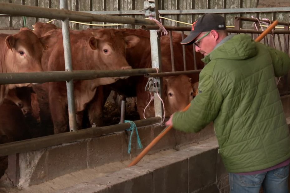 La femme de cet agriculteur va lui offrir un rein, la solidarité s’organise autour du couple pour garder la ferme