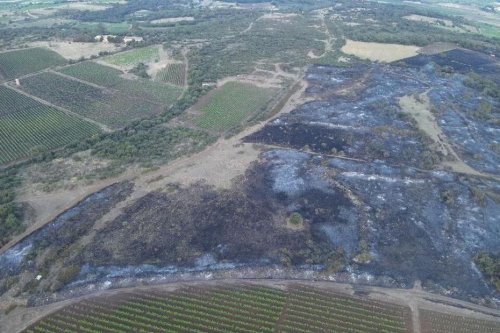 Un incendie éclate dans l'Hérault, 20 hectares de garrigue partent en fumée, des habitations menacées