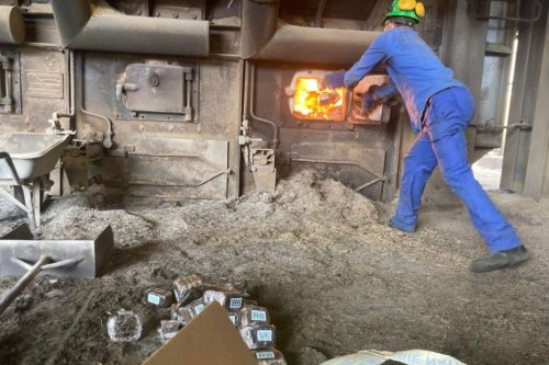 À Marie-Galante, les gendarmes brûlent la drogue dans la chaudière de l’usine sucrière