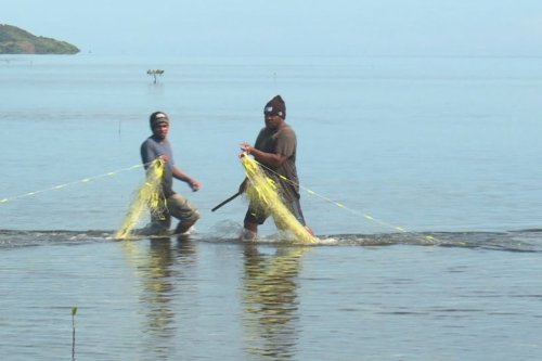 VIDÉO. Les pêcheurs préparent la première Fête du picot et du crabe