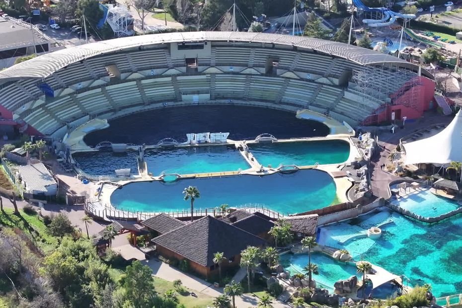 Les orques de Marineland bientôt en Espagne puis en Italie ? Le gouvernement veut "accélérer les choses"