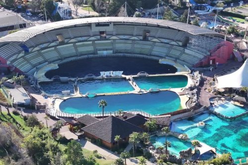Les orques de Marineland bientôt en Espagne puis en Italie ? Le gouvernement veut "accélérer les choses"