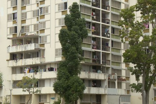 Vivre le confinement aux tours de Magenta - Nouvelle-Calédonie la 1ère
