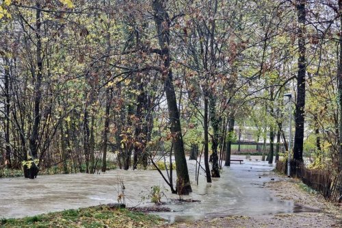 Inondations, chutes d'arbres et de rochers sur les routes : images des intempéries en Savoie et Haute-Savoie
