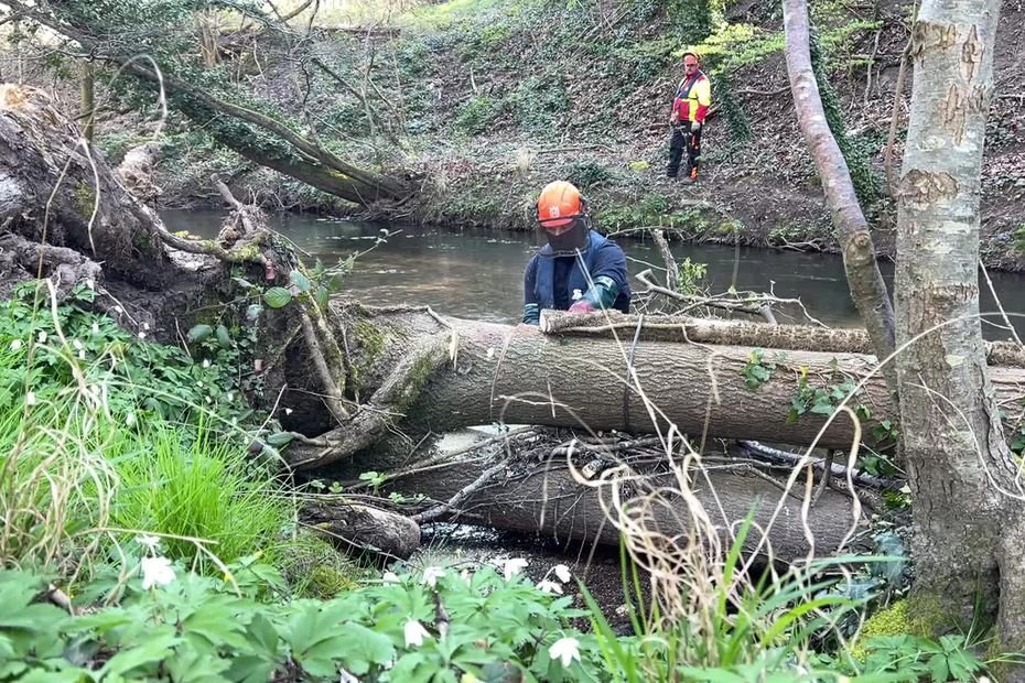 « Avant l’eau montait, mais repartait plus vite », comment cette pratique oubliée permet de lutter contre les inondations