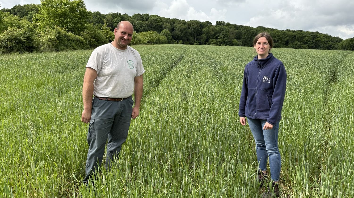 « On protège l’eau pour les Parisiens » : en Seine-et-Marne, des agriculteurs payés pour utiliser moins de pesticides