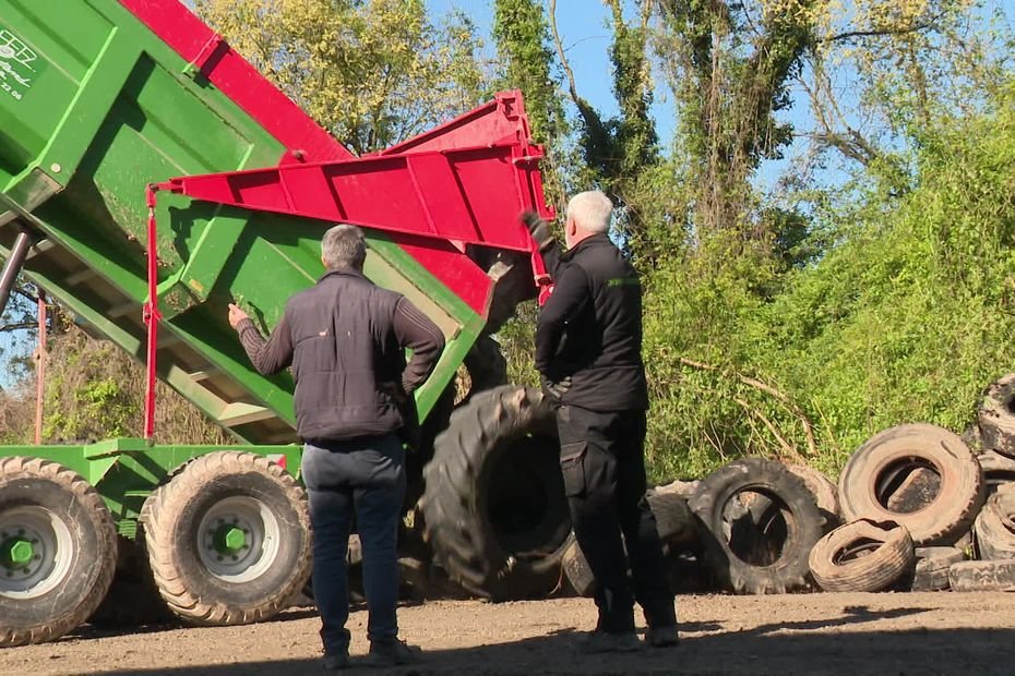 « On utilise les pneus comme combustible dans les cimenteries ou les fonderies. » Vaste collecte des pneus utilisés par les agriculteurs pour les recycler