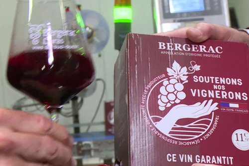 "Un prix qu'on n'a pas connu depuis au moins quinze ans !" : il lance un vin à 1 400 euros le tonneau pour payer correctement les vignerons