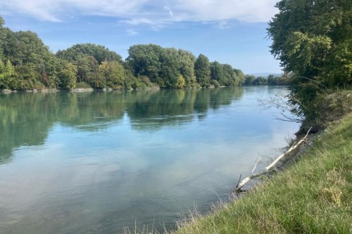 "C'est comme une bombe pour la faune et la flore" : un projet de barrage sur le Rhône contesté