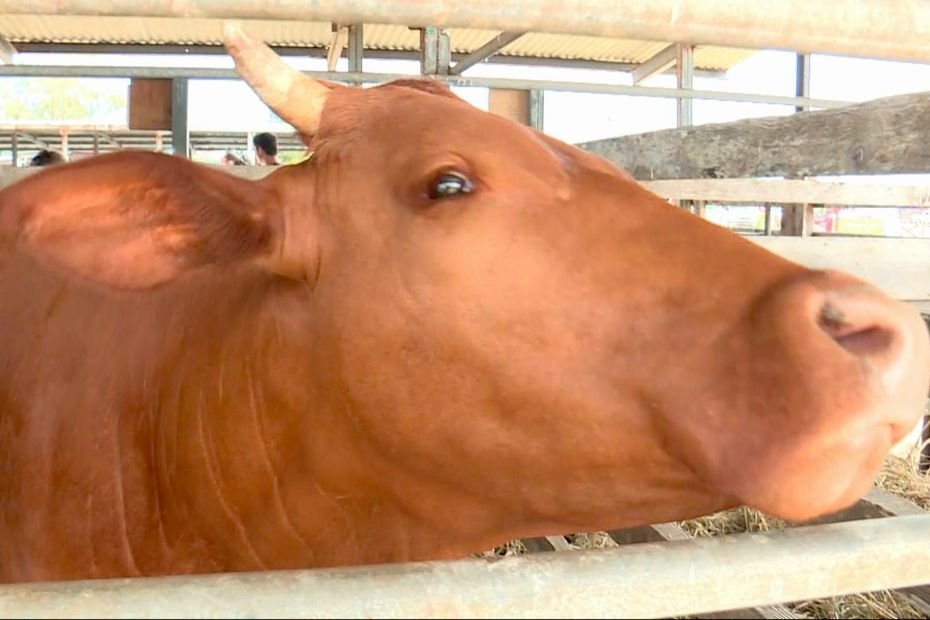 L’Agence rurale prévient que “les aides à l’agriculture et la pêche seront suspendues à partir du 1er janvier”