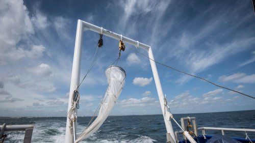 Crise climatique : le CNRS lance une mission pour mieux comprendre comment les océans stockent le CO2