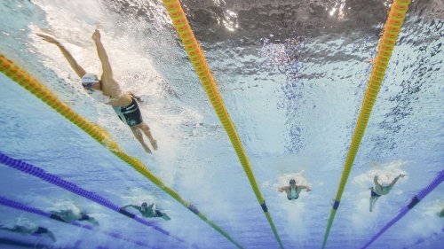 Championnats d'Europe de natation 2022 : des piscines rapides, des entraînements toujours plus pointus... Aux sources de la valse des records