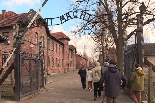"Rien que d'y penser, ça glace le sang" : au camp d'Auschwitz-Birkenau, des collégiens de la Côte d'Azur face à l'Histoire