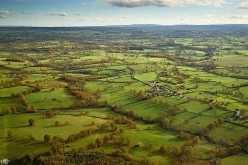 Agriculture : les haies rempart contre le réchauffement climatique