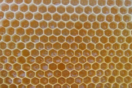 Apiculteur depuis 20 ans, Pierre Stephan témoigne : "Mes abeilles n'ont jamais produit autant de miel"