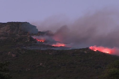VIDEO. Tempête Ciro : un feu détruit 60 hectares de maquis à Brando et menace des habitations