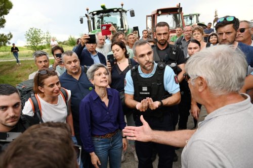 "Va faire la soupe, salope !": une injure à caractère sexiste pour Sandrine Rousseau qui annonce sa présence au procès du vigneron qui l'avait insultée