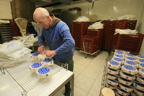 La bactérie Listeria retrouvée dans des fromages de Cîteaux, la vente suspendue : "c'est un très gros préjudice"