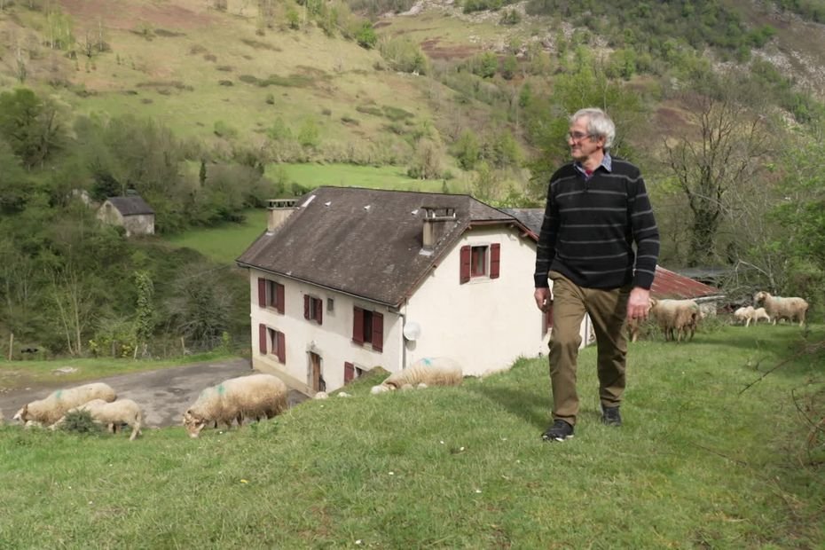 « Les gens sérieux, capables, on a besoin de vous » : après avoir perdu 58 agnelles dans un incendie, le berger Julien Lassalle lance un appel aux repreneurs