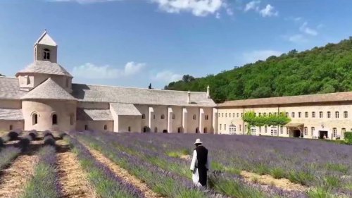 Vaucluse : des champs de lavande à l’abbaye de Sénanque
