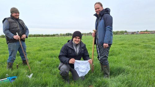                    Environnement : le "test du slip", une expérience ludique pour analyser la biodiversité du sol