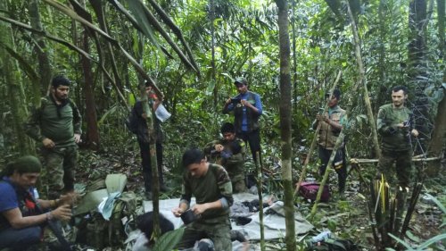 Colombie : les quatre enfants, disparus dans la jungle depuis 40 jours, retrouvés vivants