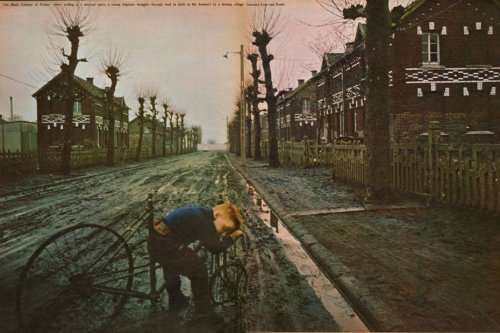 L'iconique photo de l'enfant au vélo vendue 800 euros aux enchères d'Arras