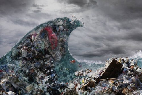 Faut-il vraiment retirer le plastiques des océans ?