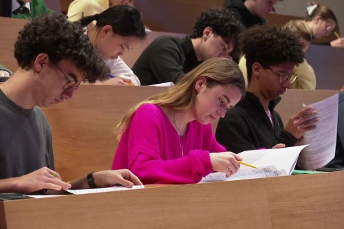 "Ils sont déjà passés par là", des étudiants en filière santé s'entraînent aux examens et planchent à blanc grâce à des tuteurs