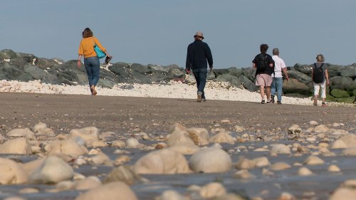 Ralentir l'érosion du littoral avec des bactéries marines, une solution testée par des chercheurs de La Rochelle