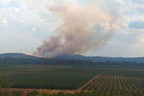 Incendie dans l'Aude : feu en cours à Névian, 50 hectares brûlés, 6 avions et 160 pompiers sur place