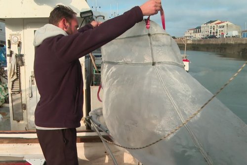 VIDEO Pêche à la civelle : l'interdiction européenne menace l'avenir des pêcheurs de la région