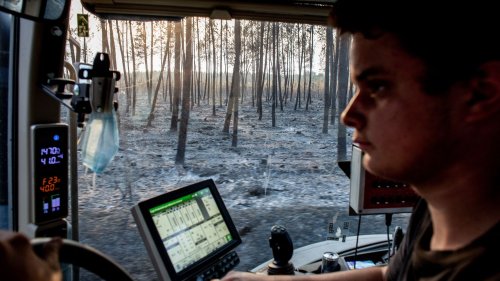 Incendies : comment puis-je apporter mon aide face aux feux de forêt ?