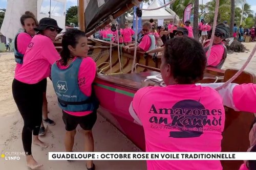 REPLAY. Démarrage d'Octobre rose en voile traditionnelle en Guadeloupe, à la une de l'info Outre-mer