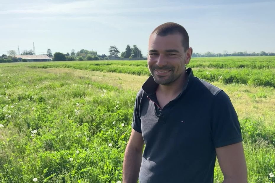 Pellets de bois, céréales et granulés pour le bétail… Cet agriculteur mise sur la diversification de ses productions