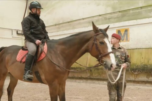 "Avoir un contact avec un cheval, c'est très plaisant" : comment l'équitation aide des militaires à surmonter un stress post-traumatique