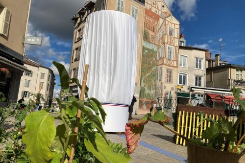 Partenariat : Toques & Porcelaine, la gastronomie et les arts de la table à l'honneur tout le weekend à Limoges