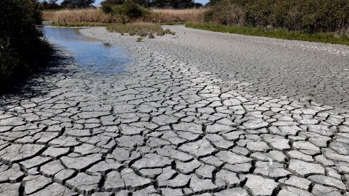 Réchauffement climatique : "Notre planète est en train de devenir rapidement inhabitable", avertit Greenpeace France
