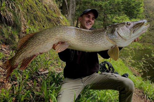 "C'est le poisson de ma vie", un brochet d'1,23 m pêché dans un petit lac de montagne en Alsace