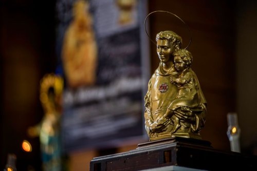 Une relique de Saint-Antoine de Padoue en pèlerinage dans les églises de Corse