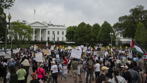 "Résistons à la tyrannie" : des milliers d'Américains ont de nouveau manifesté contre la politique de Donald Trump et Elon Musk