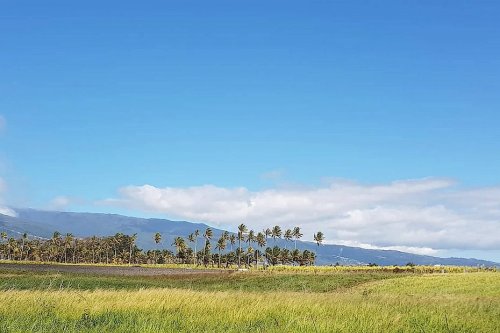 La Réunion : ensoleillé, un peu moins de nuages et 29 °C