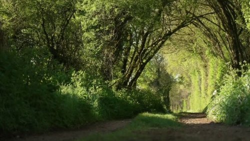 Disparition d'Agathe Hilairet dans la Vienne : les joggeurs de Vivonne privilégient la prudence