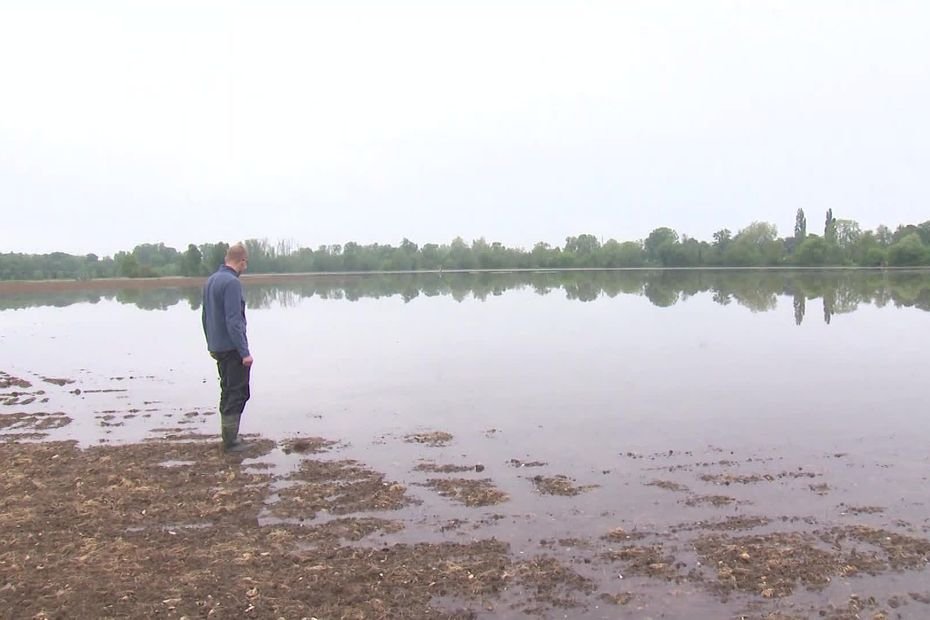 « Il faudra recommencer tout le travail à zéro » : son champ est noyé par les inondations, cet agriculteur craint une perte de 40 000 euros