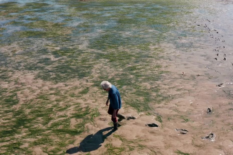 « C’est impensable pour un site aussi merveilleux ». Menacés par le surtourisme, ces herbiers marins vont être soutenus par le loto national