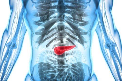 Après le chlordécone et le cancer de la prostate, d’autres pesticides peuvent eux générer le cancer du pancréas.