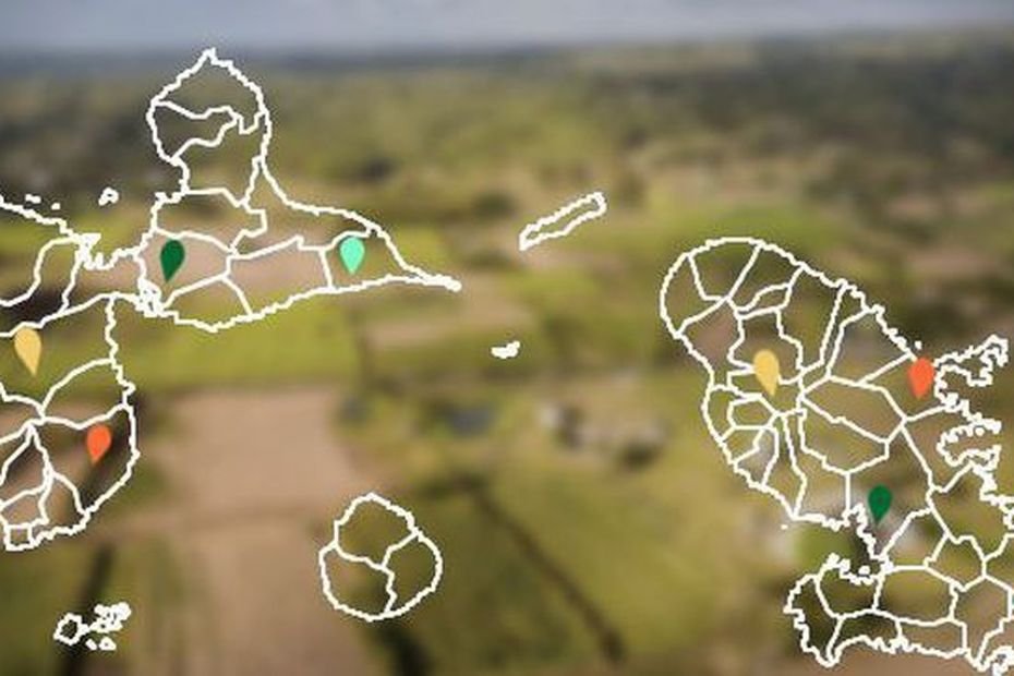 Chlordécone : des scientifiques révèlent une persistance pouvant durer 11 000 ans dans les sols