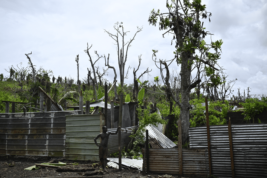 « C’est indécent » : à Mayotte, la Confédération paysanne demande davantage d’aides pour les agriculteurs