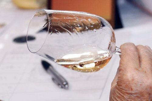 Concours des meilleurs vins rosés du monde, le Languedoc-Roussillon région la plus récompensée