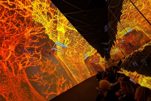 VIDÉO. « Feux, mégafeux », la nouvelle exposition immersive au Quai des Savoirs de Toulouse